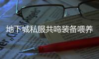 地下城私服共鸣装备喂养全攻略