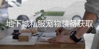 地下城私服宠物装备获取全攻略