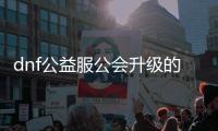 dnf公益服公会升级的步骤与技巧