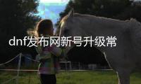 dnf发布网新号升级常见问题解答
